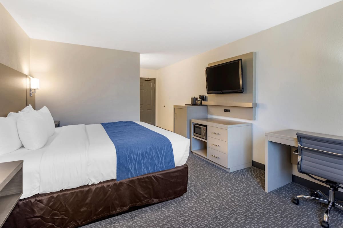 A hotel room with a bed, a desk, a chair, a television, and a microwave.