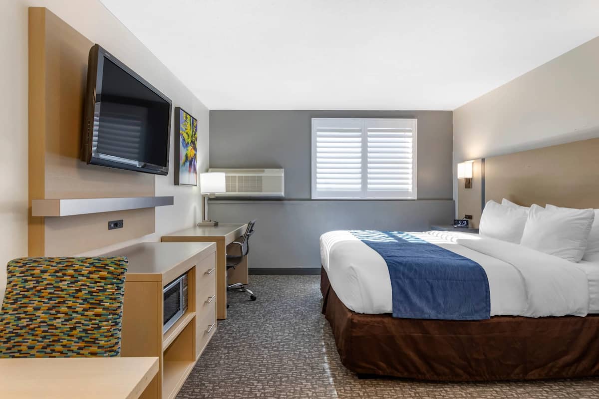 Deluxe Room, 1 King Bed, Non Smoking, Kitchenette