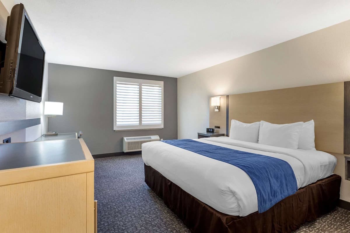A hotel room with a bed, a desk, a TV, a window with blinds, a nightstand, and a wall-mounted lamp.