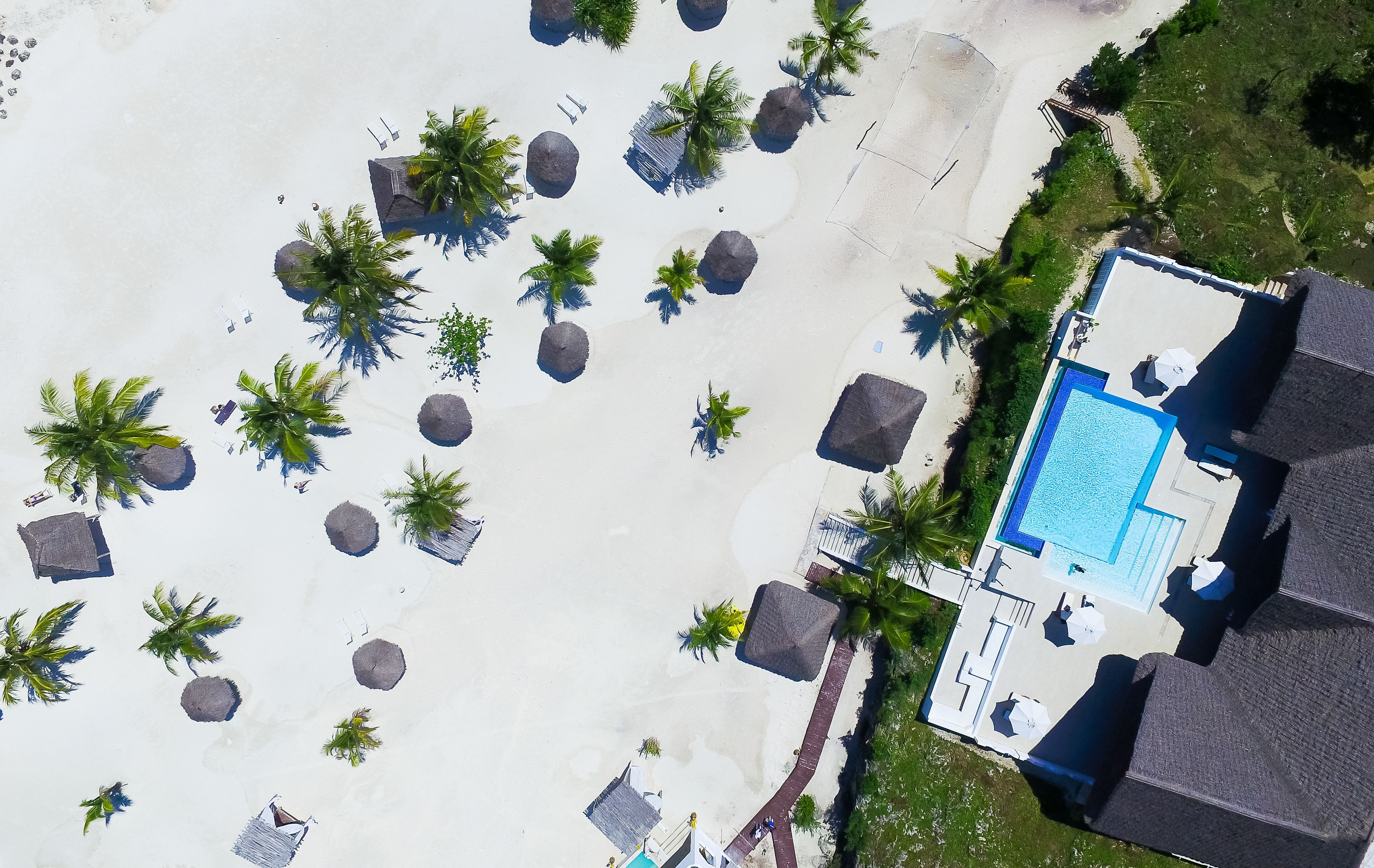 Vista aérea de un resort con piscina, palmeras y zona de playa.