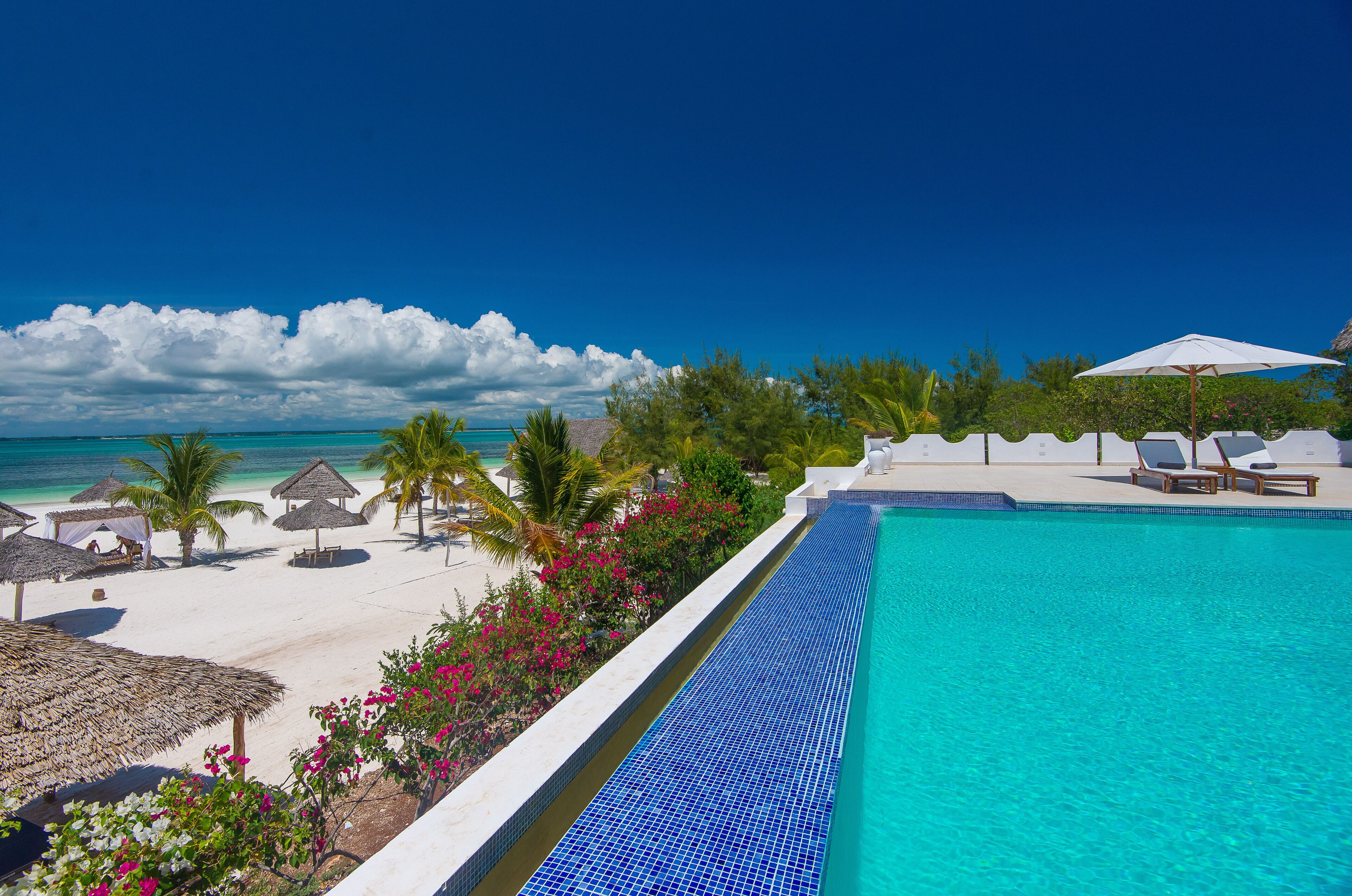 Ein Pool mit sauberem, blauen Rand, umgeben von einer weißen Terrasse und Palmen.