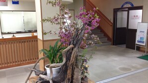 Un área de recepción con un banco de madera, una planta en maceta y un arreglo decorativo de ramas y flores.