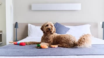 A dog lying on a bed with toys, a pillow, and a bedside table.