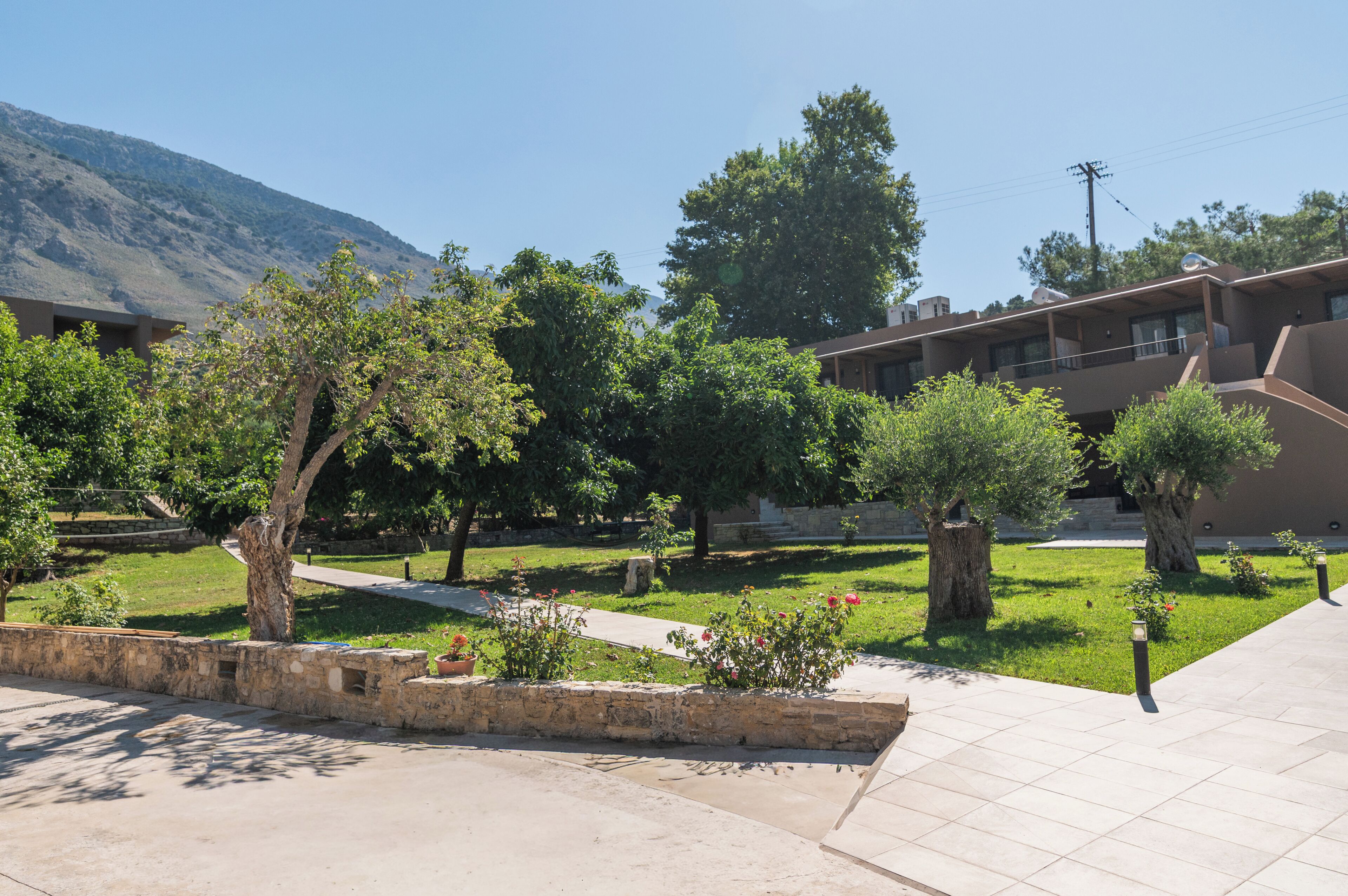 A courtyard with trees, a pathway, and a building with a flat roof and satellite dish.
