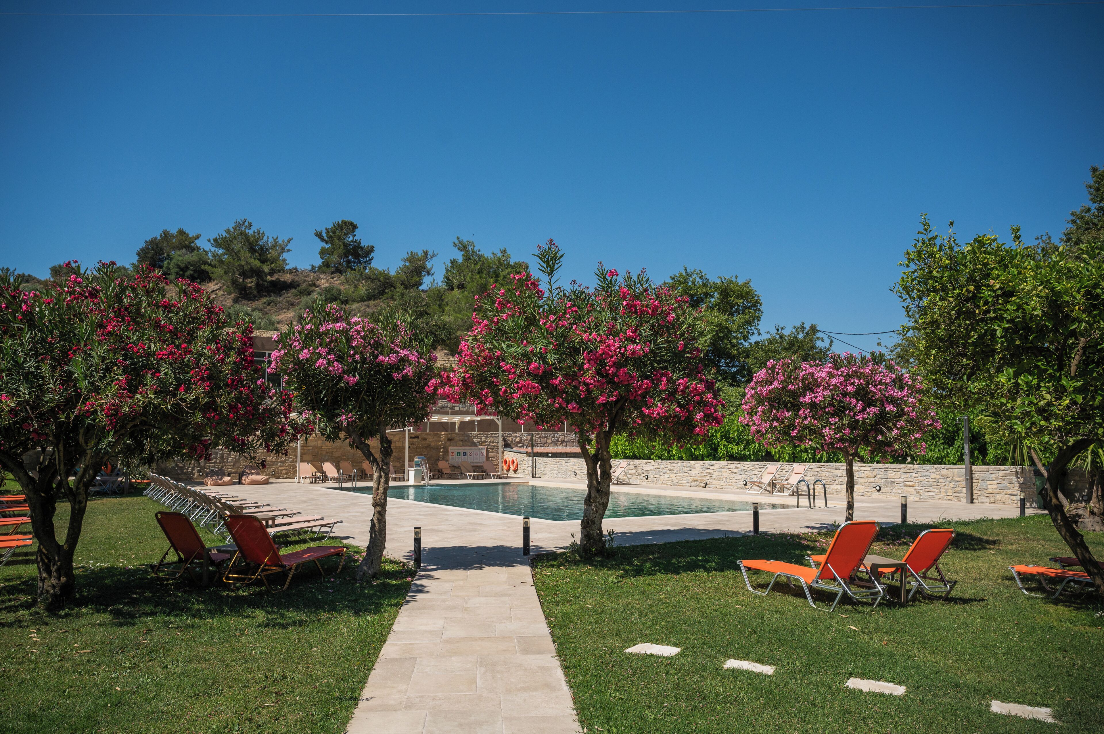 Un espace piscine avec des chaises longues, un ciel dégagé et des arbres en fleurs.