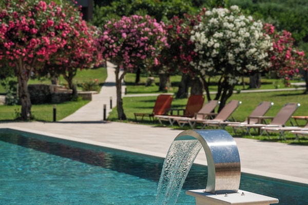 Outdoor pool, sun loungers