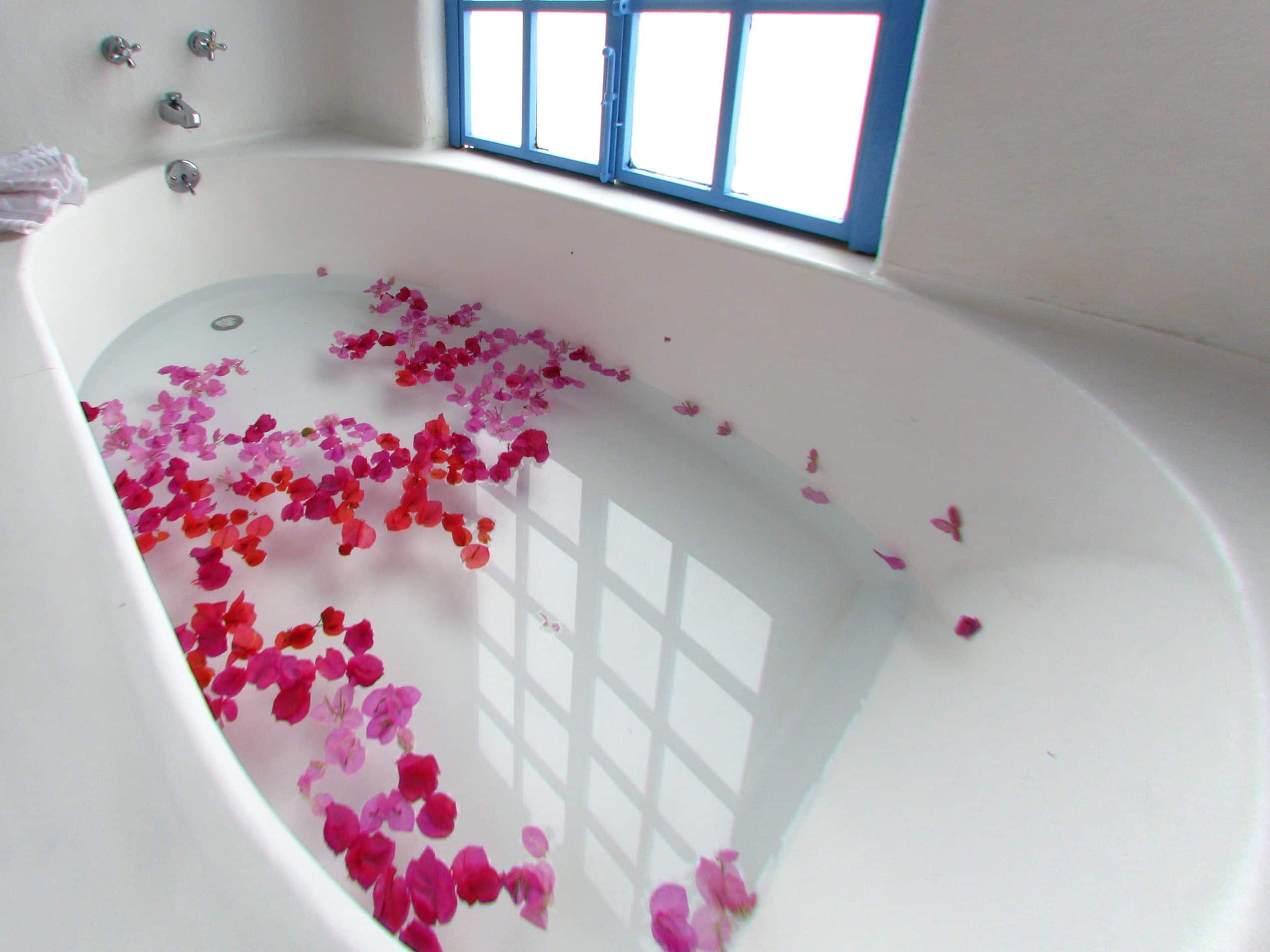 A bathtub filled with rose petals, a window, and a showerhead.