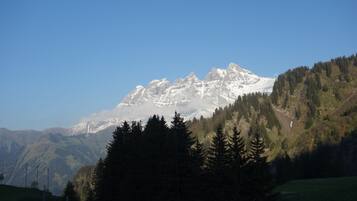Ein Gebirge mit schneebedeckten Gipfeln und dichten bewaldeten Hängen.
