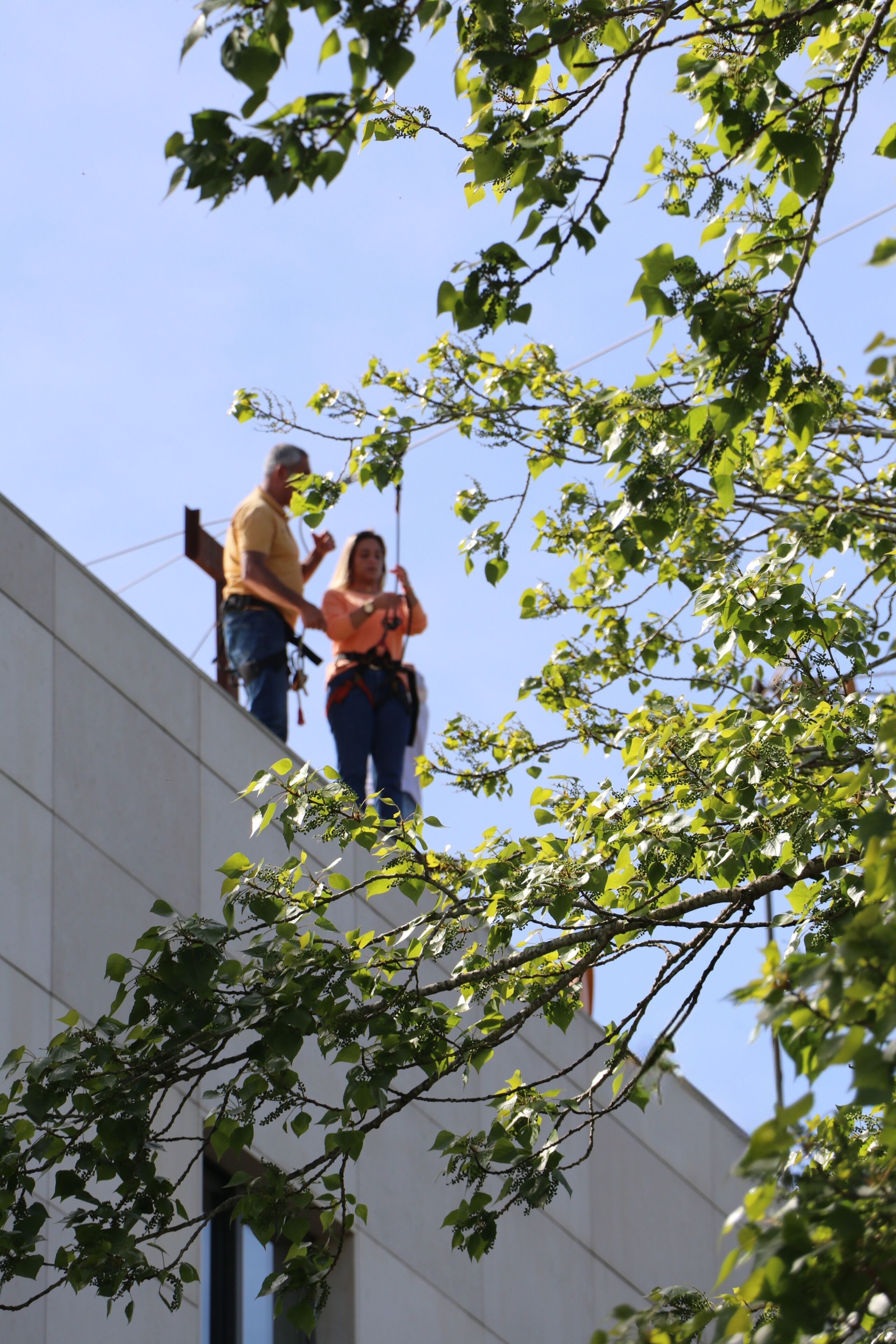 Two individuals on a rooftop with safety harnesses, a clear sky, and a building with a white facade.