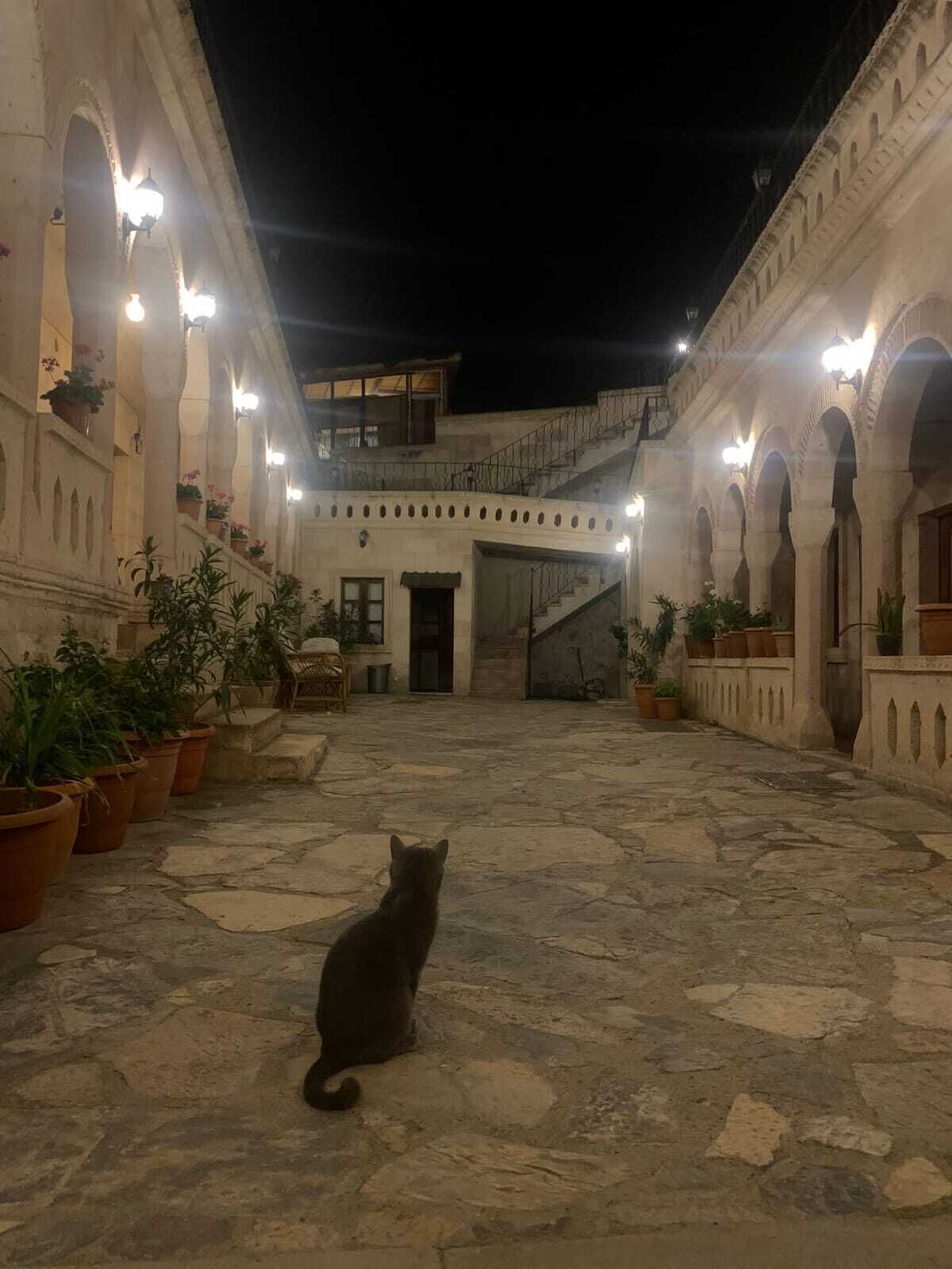 Photo - Nature Park Cave Hotel