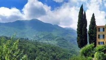 A hotel with a mountain view, surrounded by greenery and tall trees.