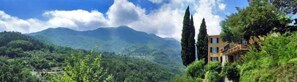 Un hotel con vistas a la montaña, rodeado de vegetación y árboles altos.