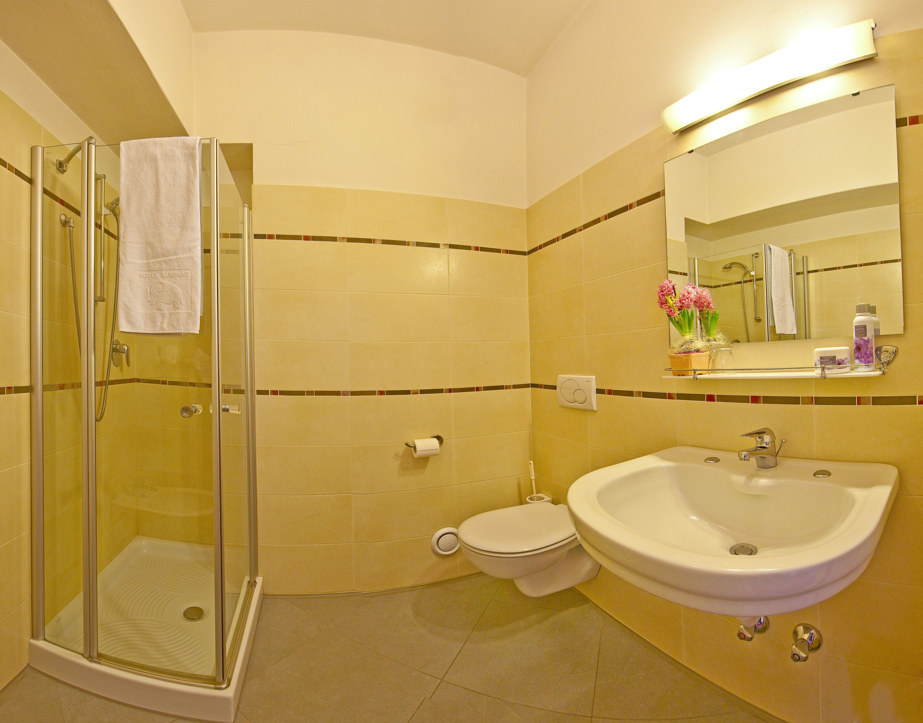 A bathroom with a glass shower enclosure, a toilet, and a sink with a mirror above.