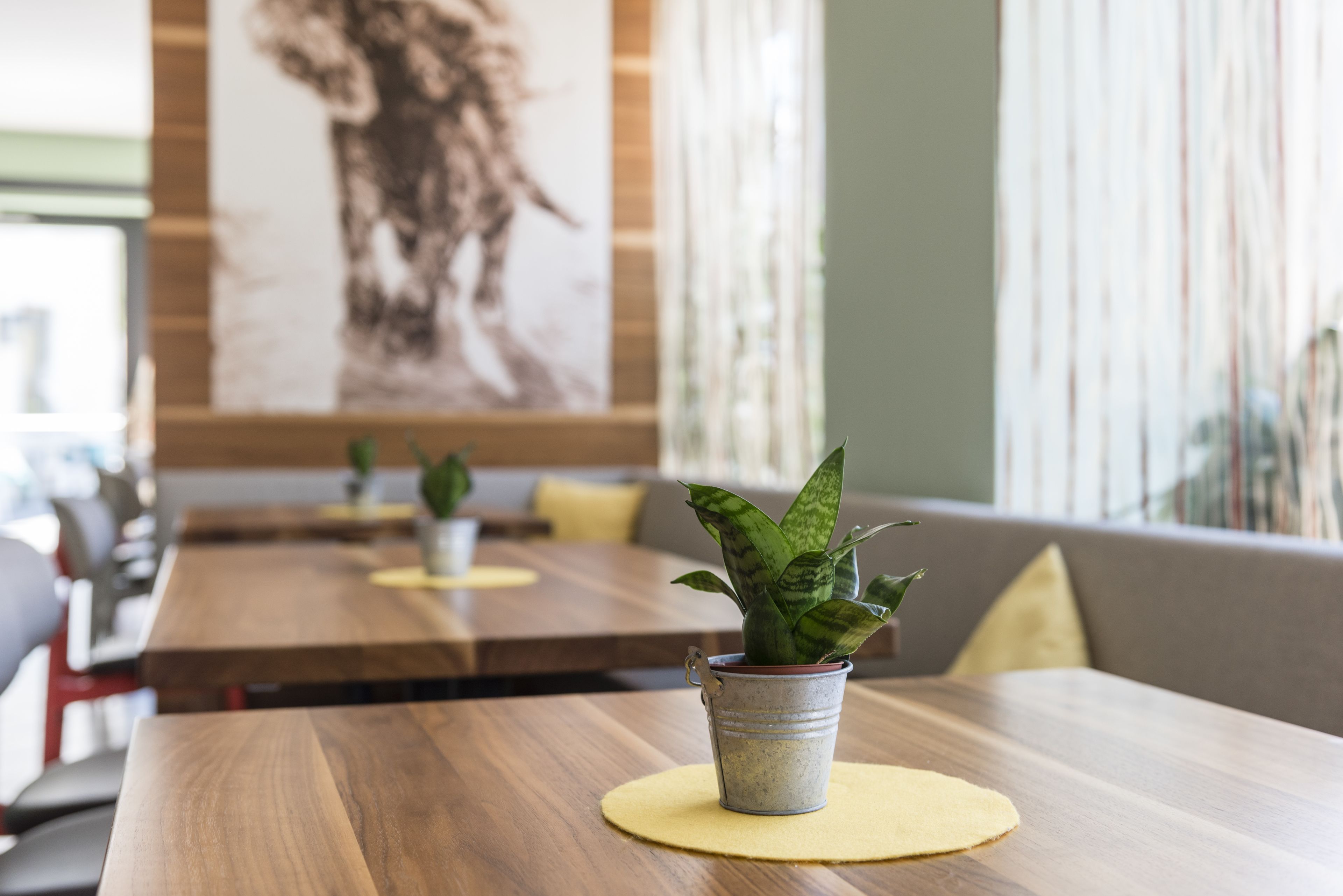 A restaurant with wooden tables and potted plants.