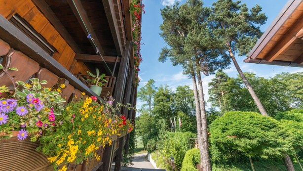 Ein Holzhaus mit Blumenkästen an der Seite.