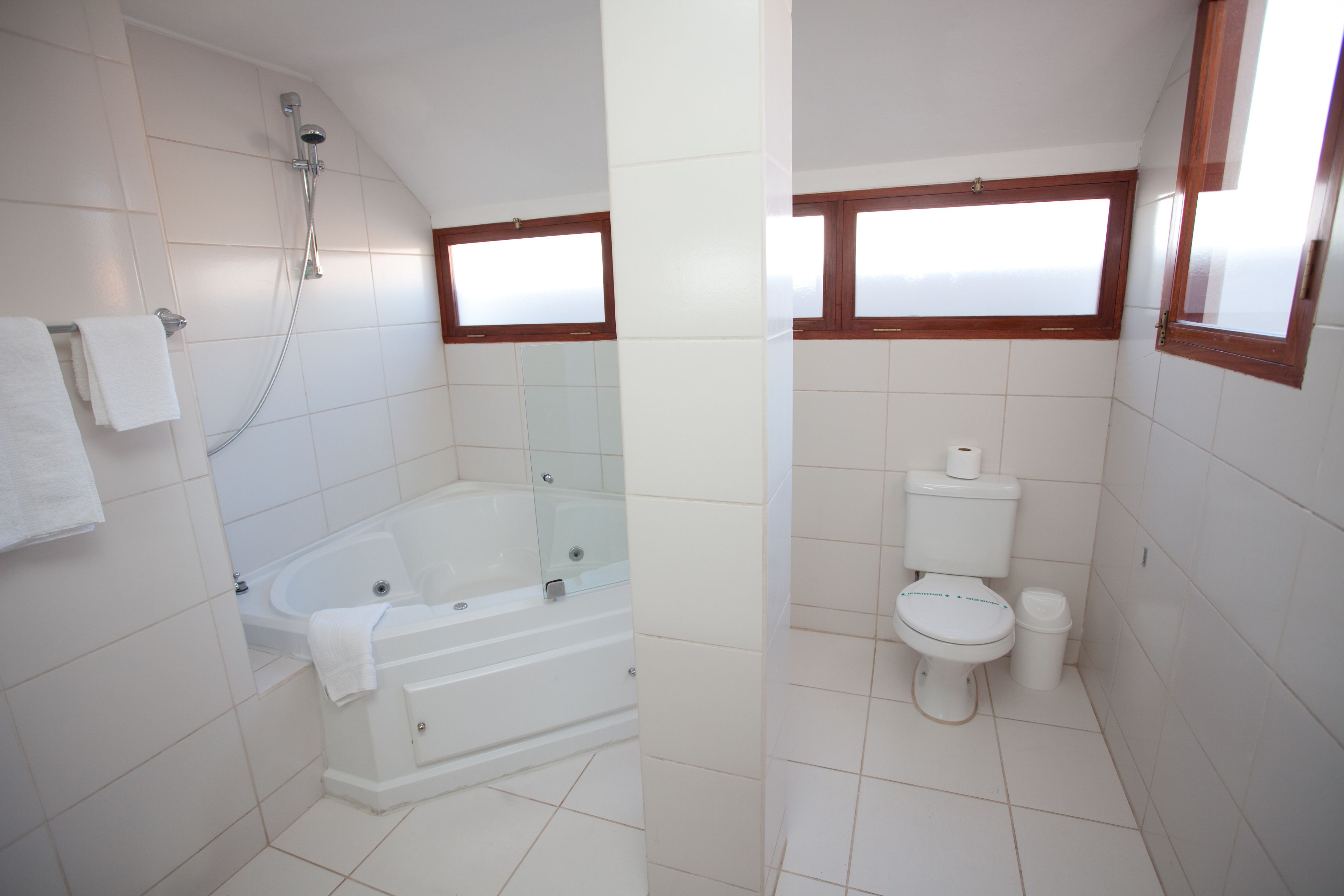 master suite | bathroom | rainfall showerhead, free toiletries, hair dryer, towels