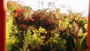 Jardín
