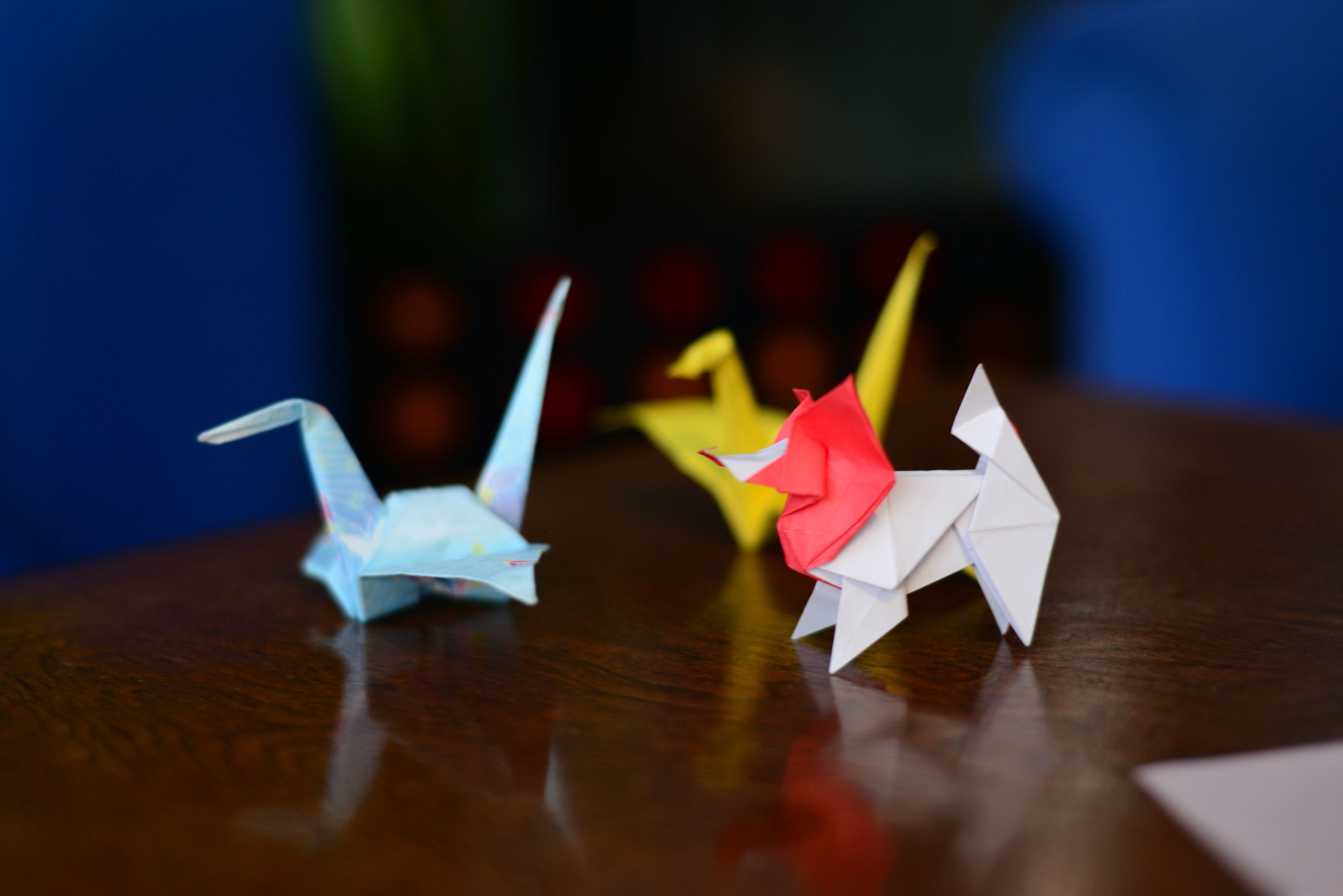 Photo - Jailhouse Accommodation