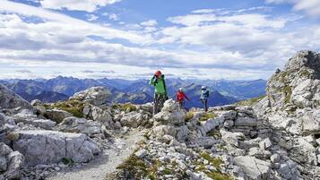 Un sendero pedregoso en la montaña con excursionistas.