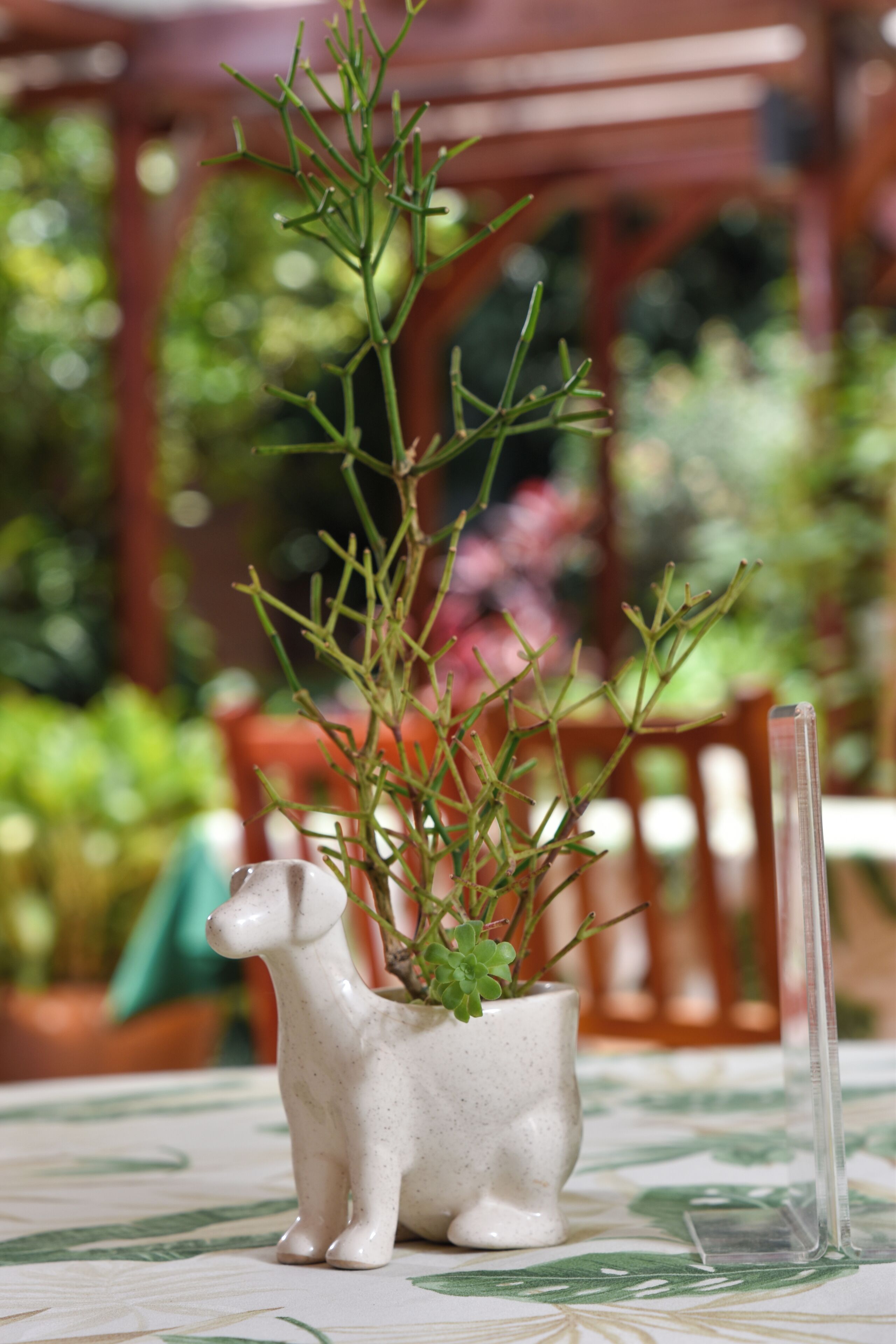 daily continental breakfast (cop 23000 per person)