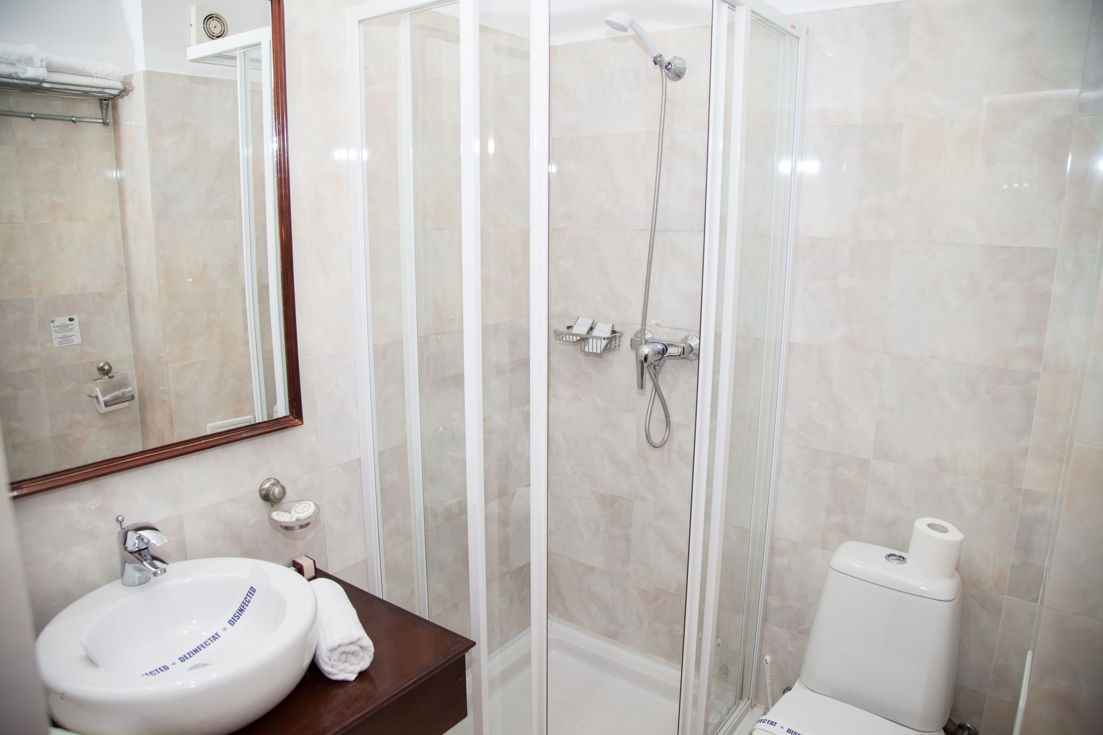 Een badkamer met een douchecabine, een wastafel met spiegel en een toilet.