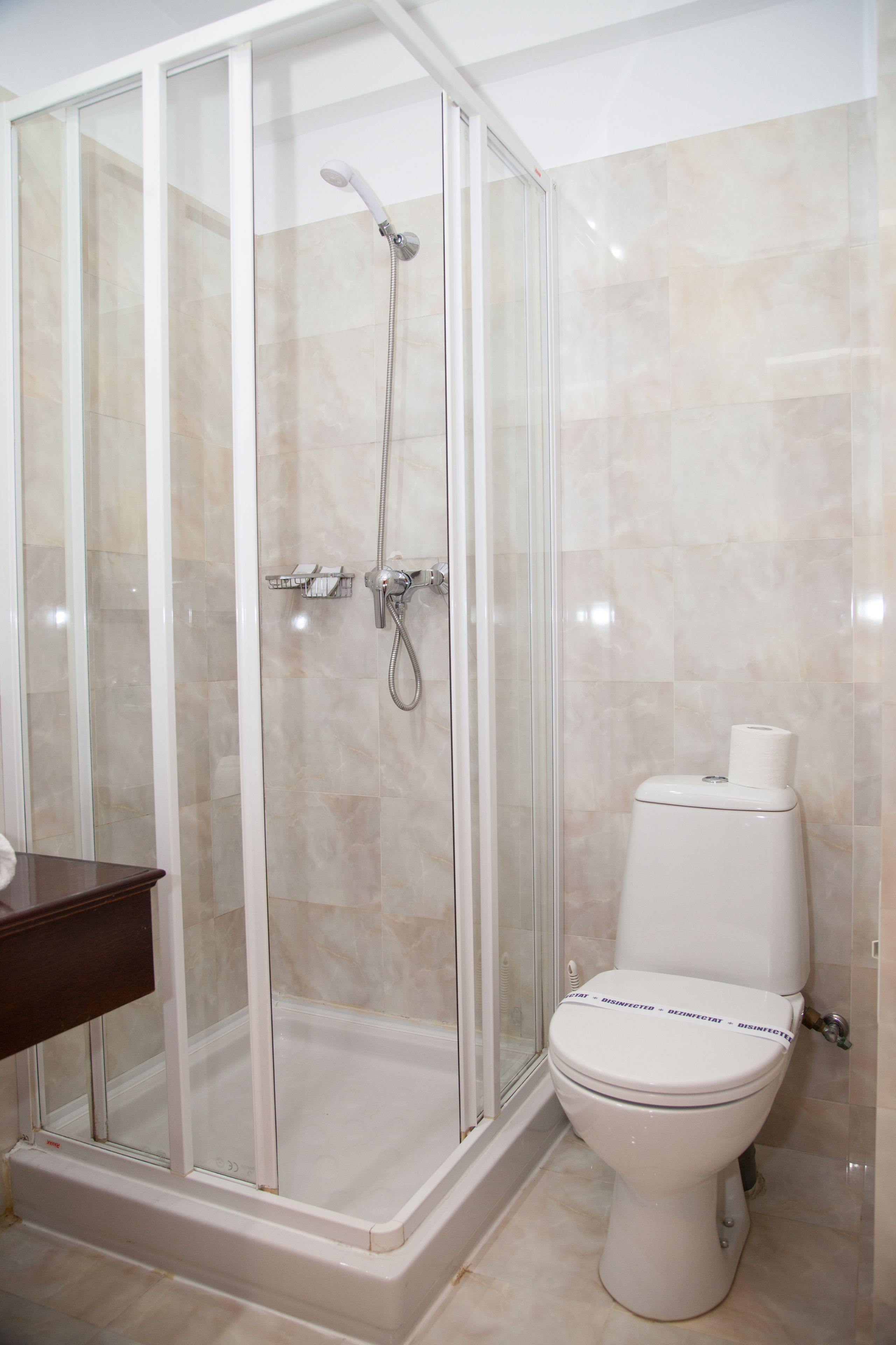 A bathroom with a glass-enclosed shower, a toilet, and a wooden vanity.