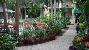 Un sentiero fiancheggiato da piante e fiori tropicali, che conduce a un edificio con balconi.