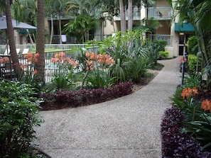 A pathway lined with tropical plants and flowers, leading to a building with balconies.