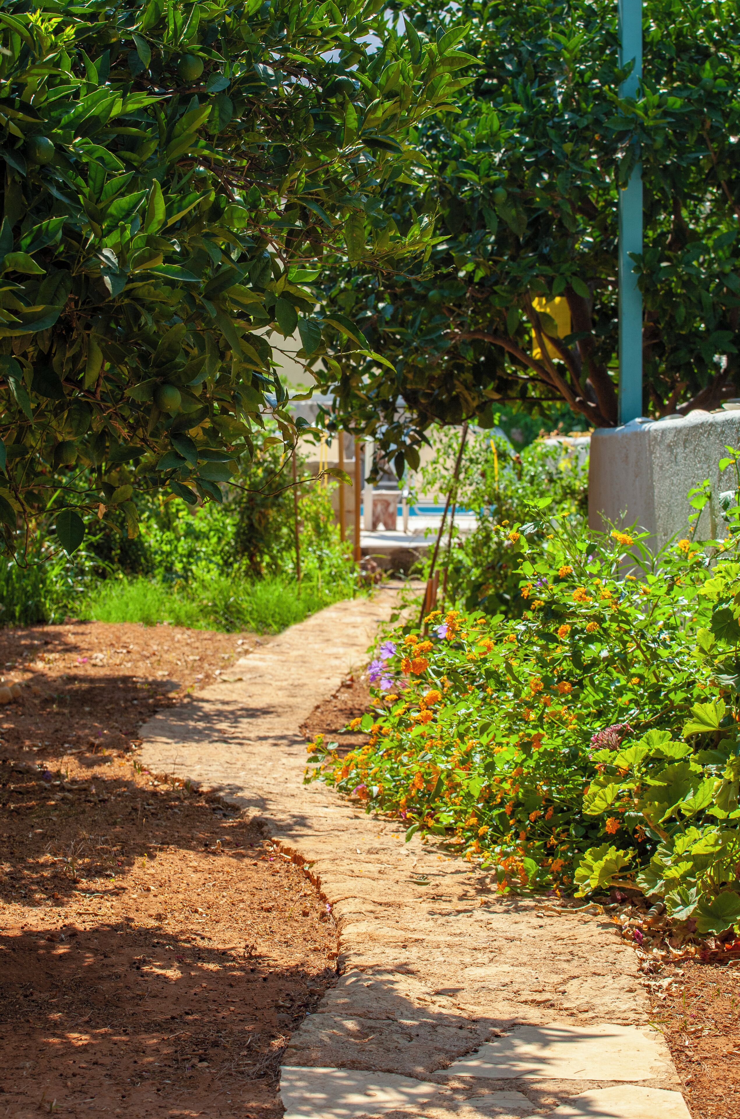 Foto - Villa Iokasti