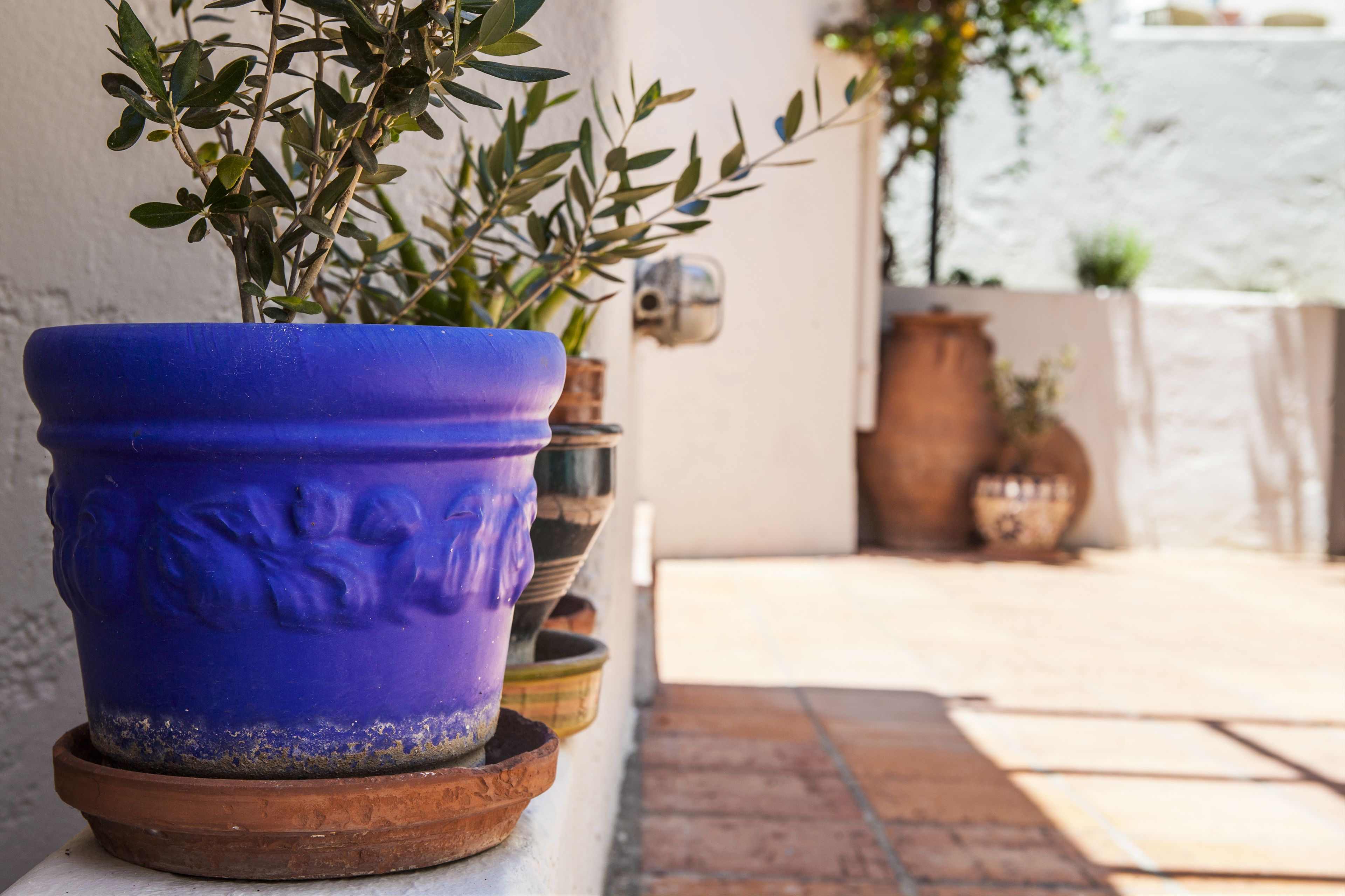 Foto - Villa Iokasti