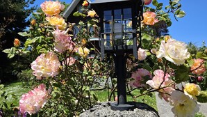 A garden with a gazebo and a stone sign with the number 1681. - Canales del Sur (Puerto Varas)