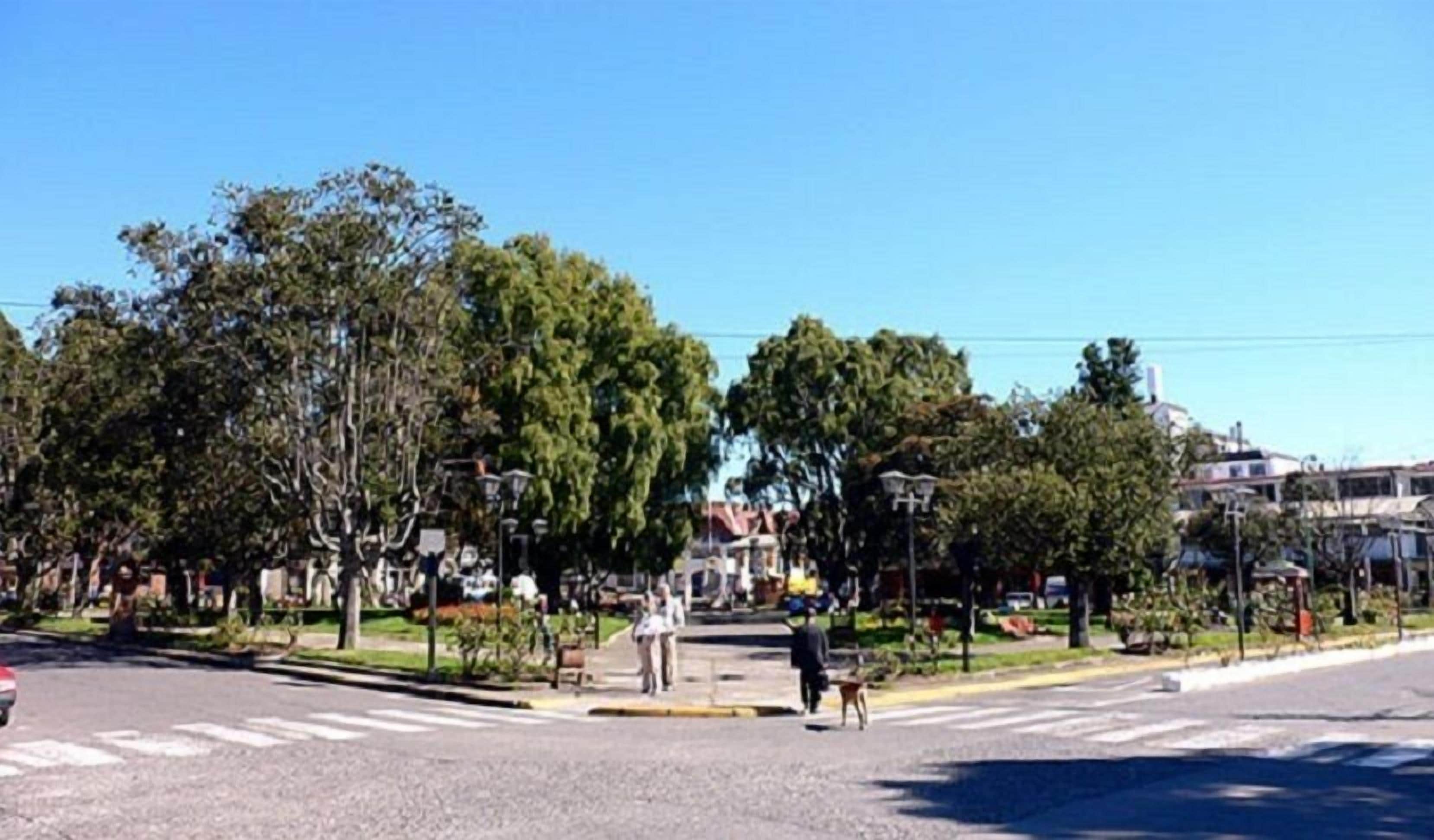A street intersection with trees, a crosswalk, and buildings in the background.