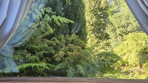 A window with white curtains, a wooden ceiling, and a view of dense green trees and ferns. - Canales del Sur (Puerto Varas)