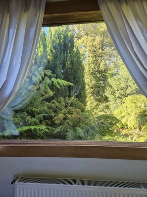 Vue sur la campagne depuis l’hébergement