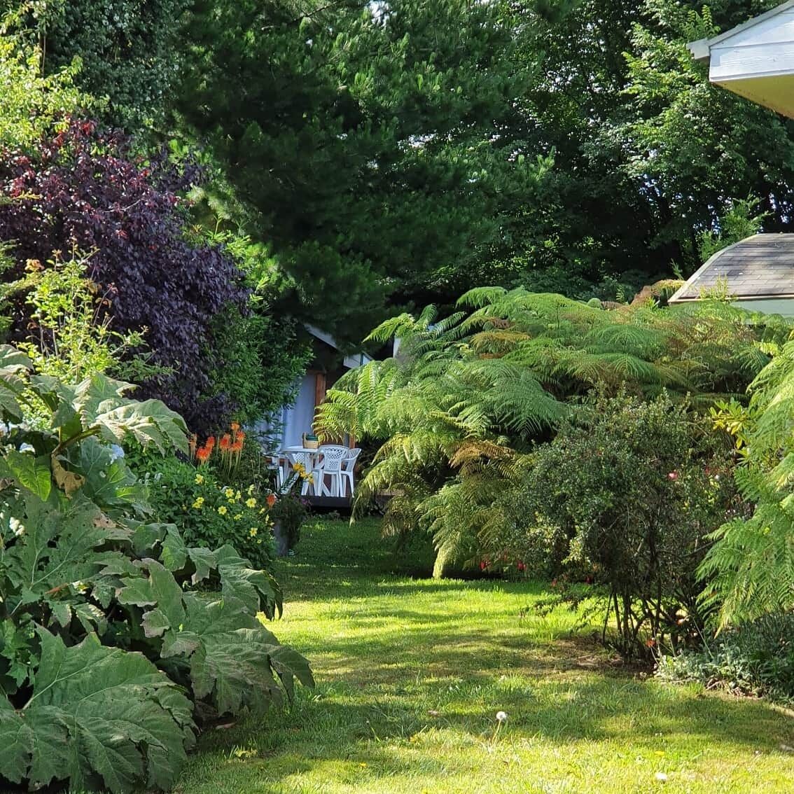 Ein üppiger Garten mit verschiedenen Pflanzen und einem kleinen weißen Gebäude im Hintergrund.