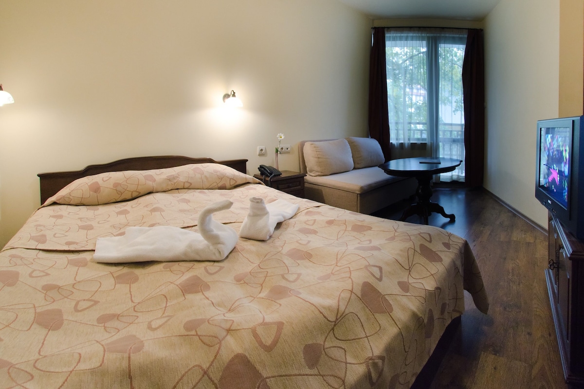 A hotel room with a bed, a sofa, a TV, and a window with curtains.