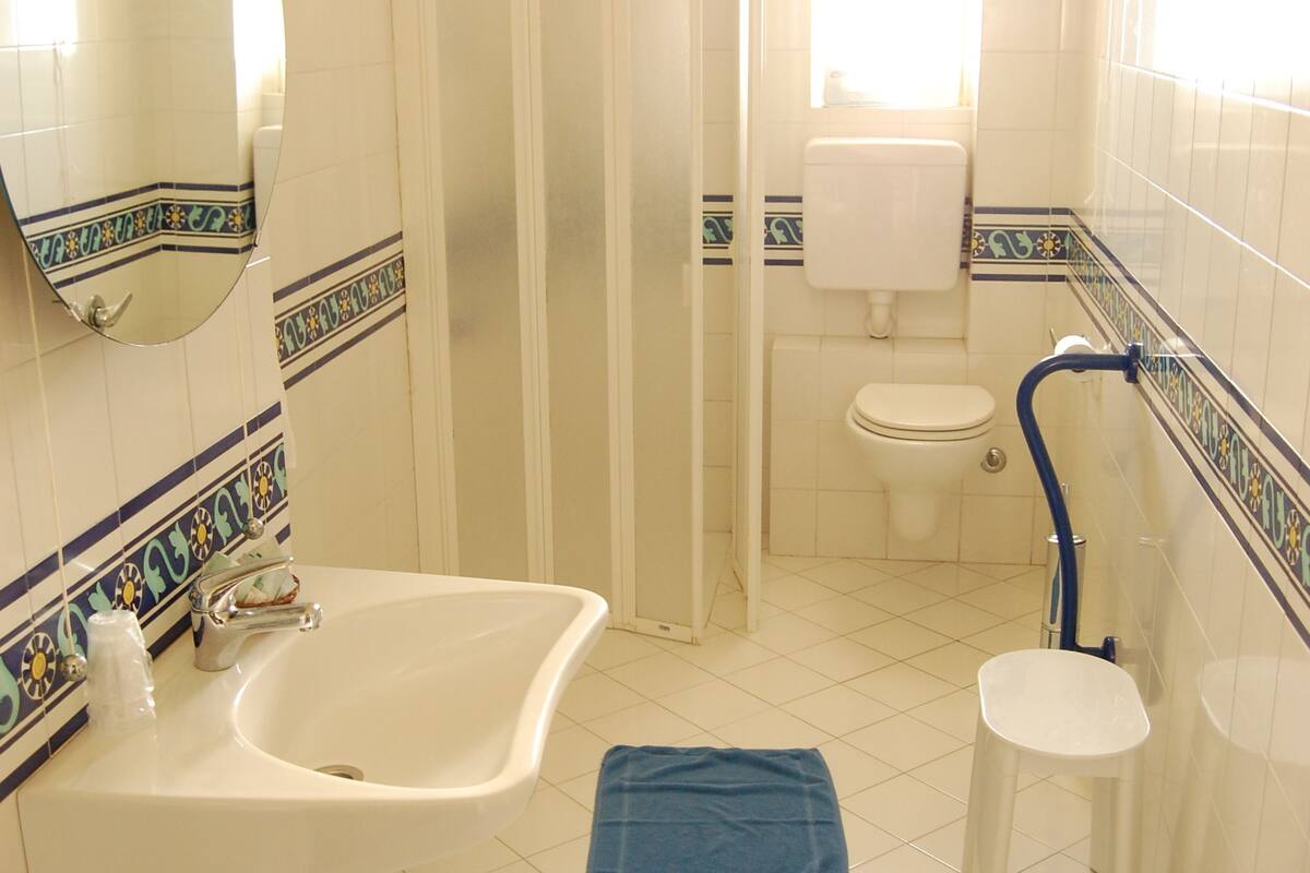 shower, free toiletries, hair dryer, bidet