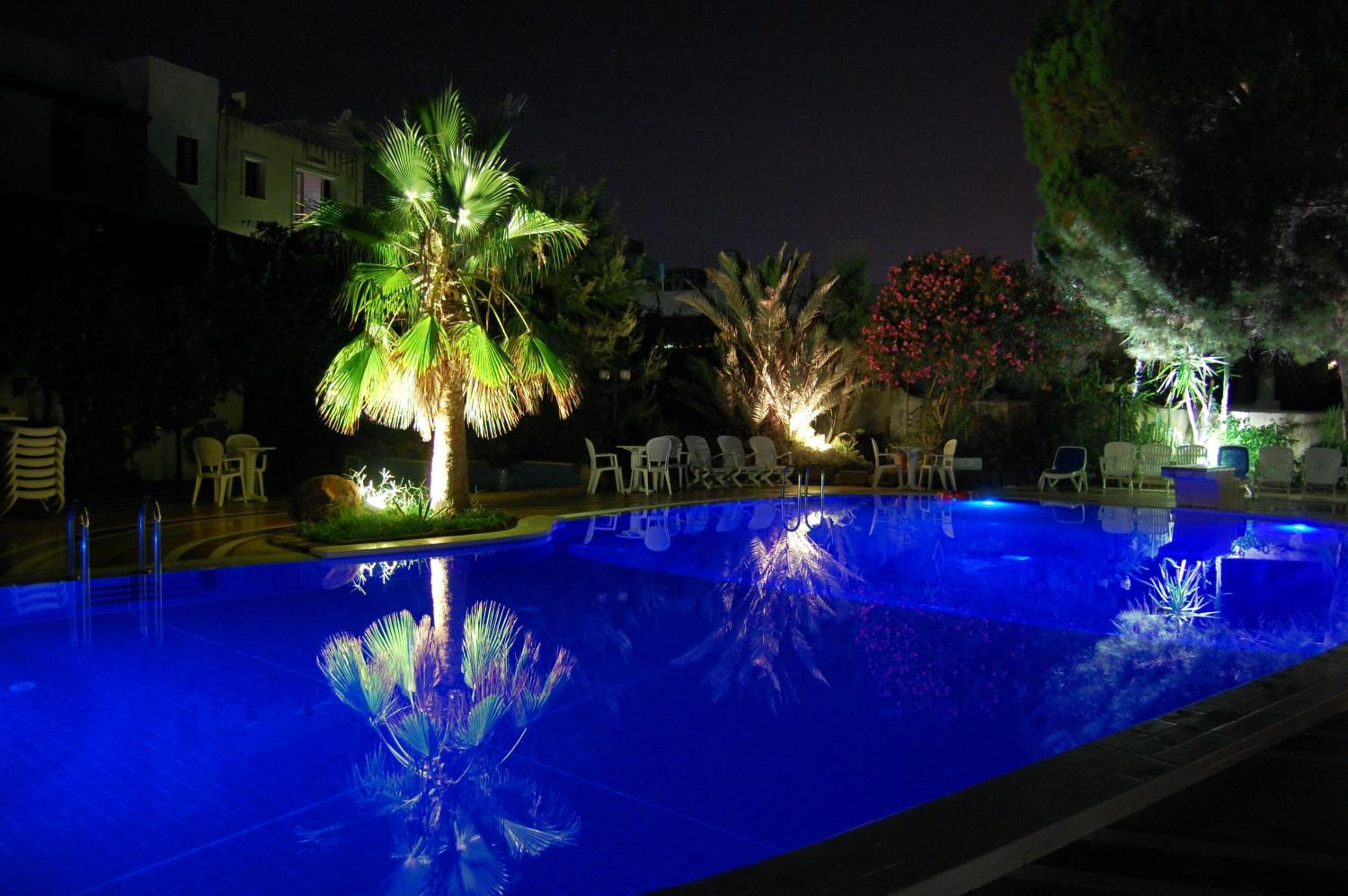 A nighttime swimming pool with illuminated palm trees and lounge chairs.