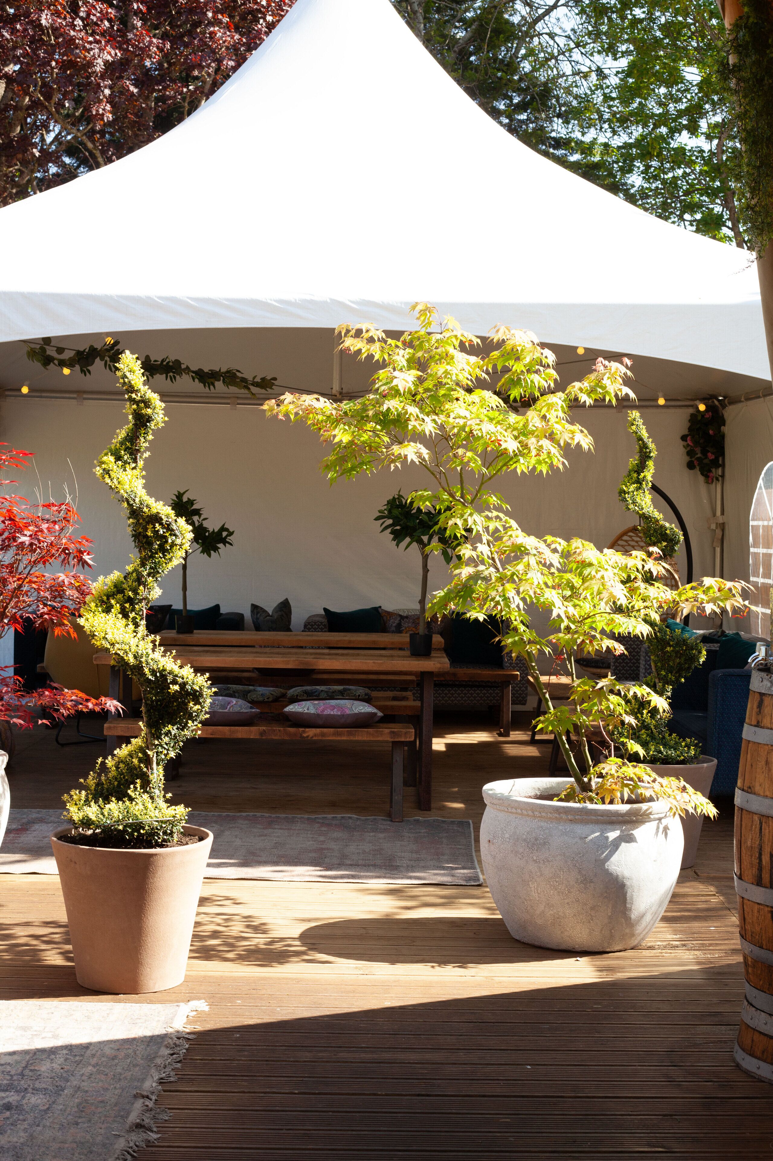 A covered outdoor area with a wooden bench, potted plants, and a white tent.