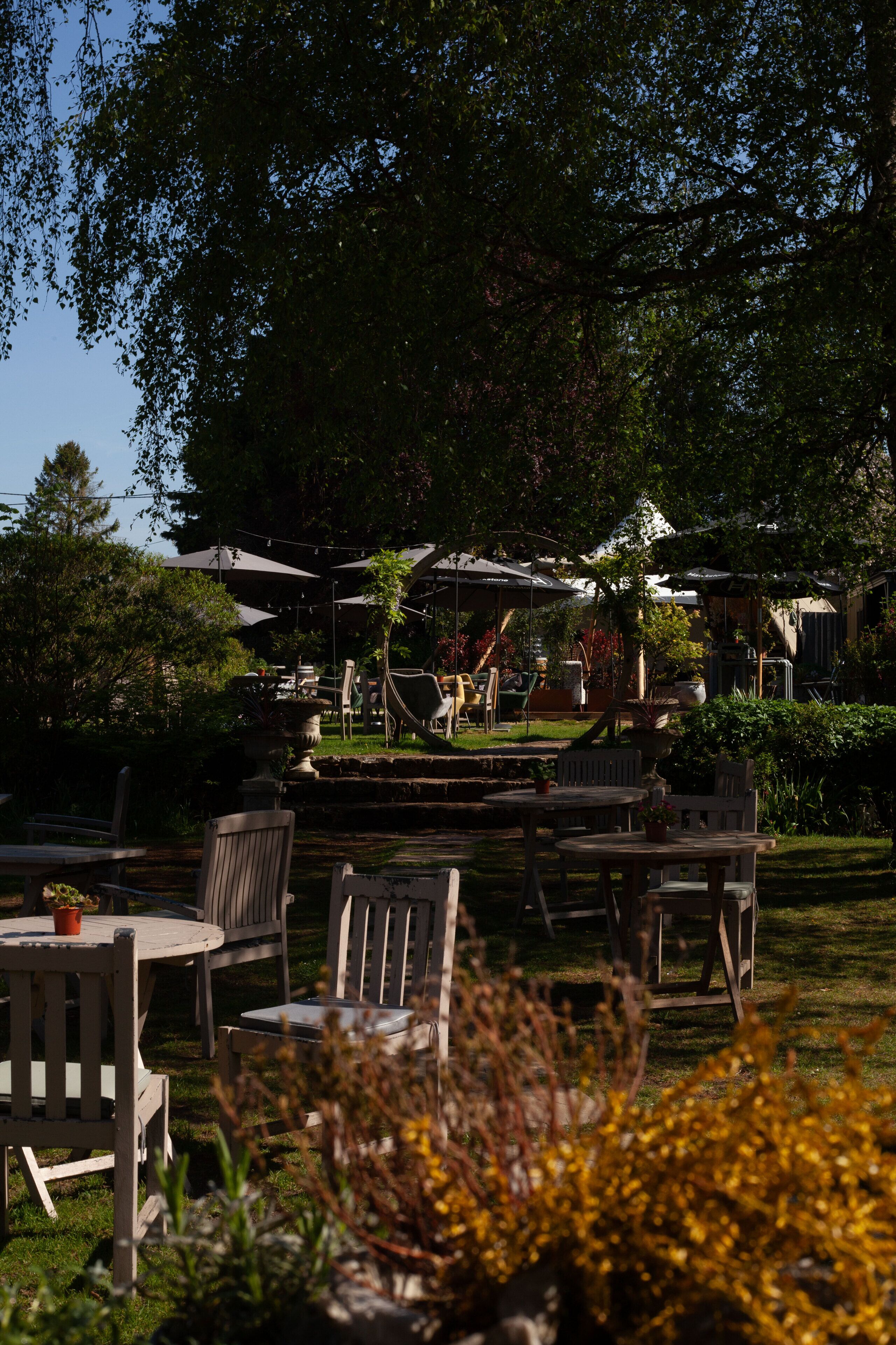 Een terras met houten tafels en stoelen, omringd door weelderig groen en bomen.