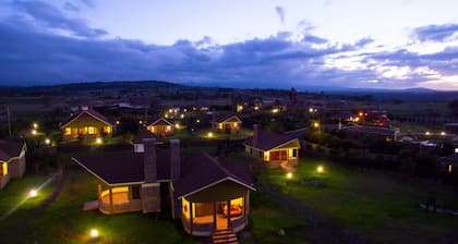 Giraffe Ark Game Lodge
