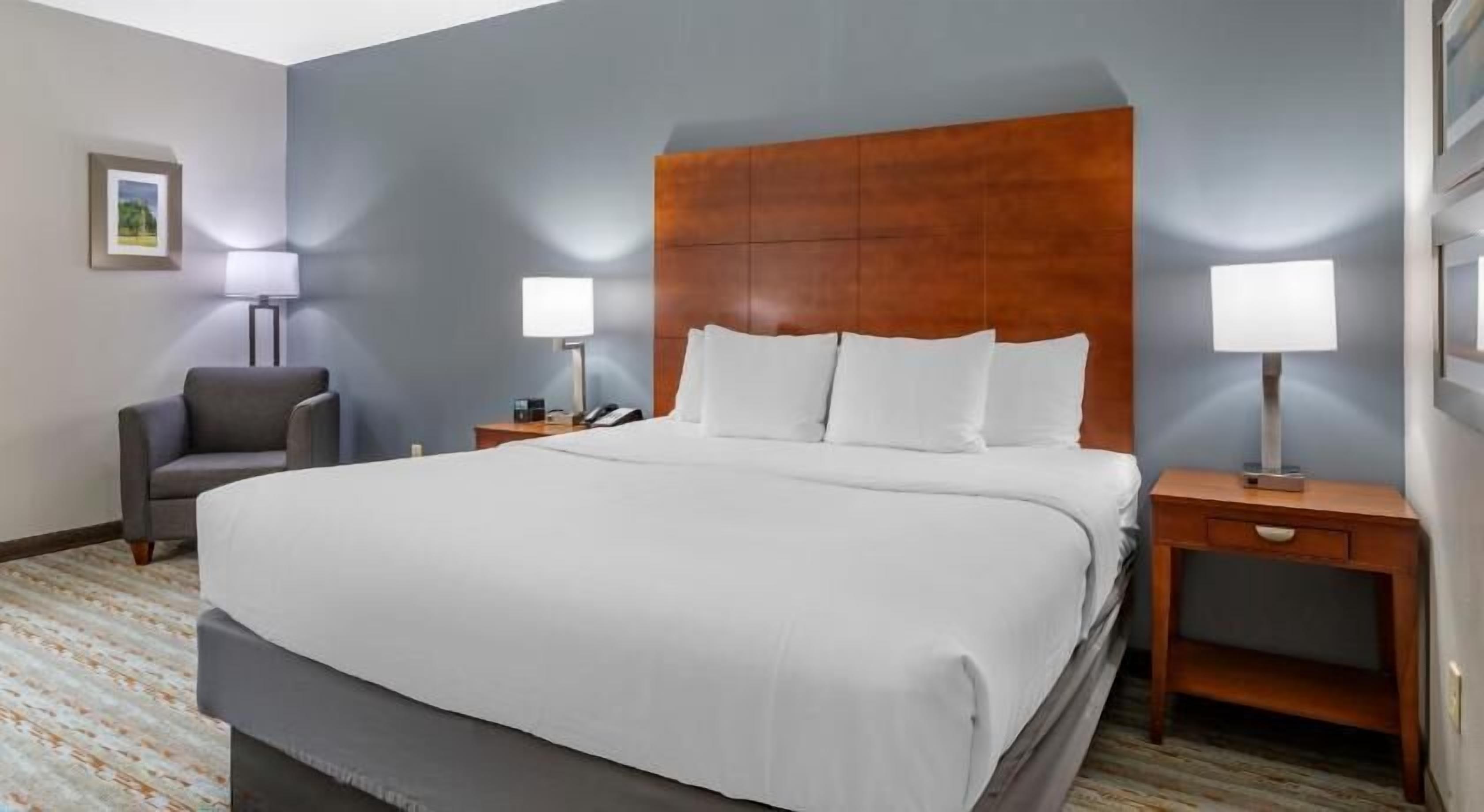 Premium bedding, desk, iron/ironing board, free cribs/infant beds
