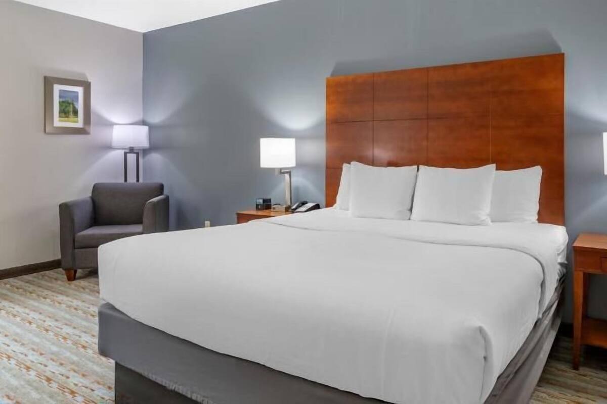 Premium bedding, desk, iron/ironing board, free cribs/infant beds