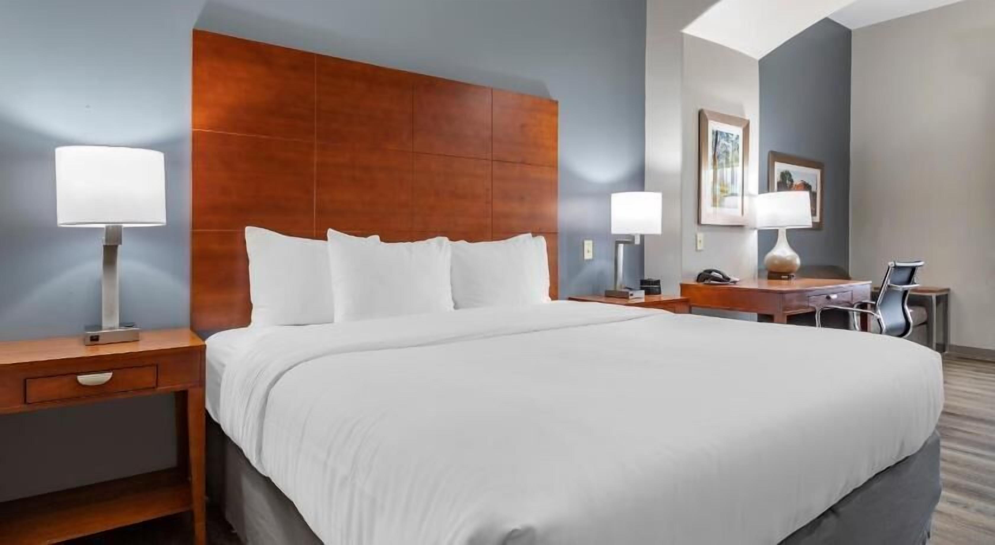 Premium bedding, desk, iron/ironing board, free cribs/infant beds