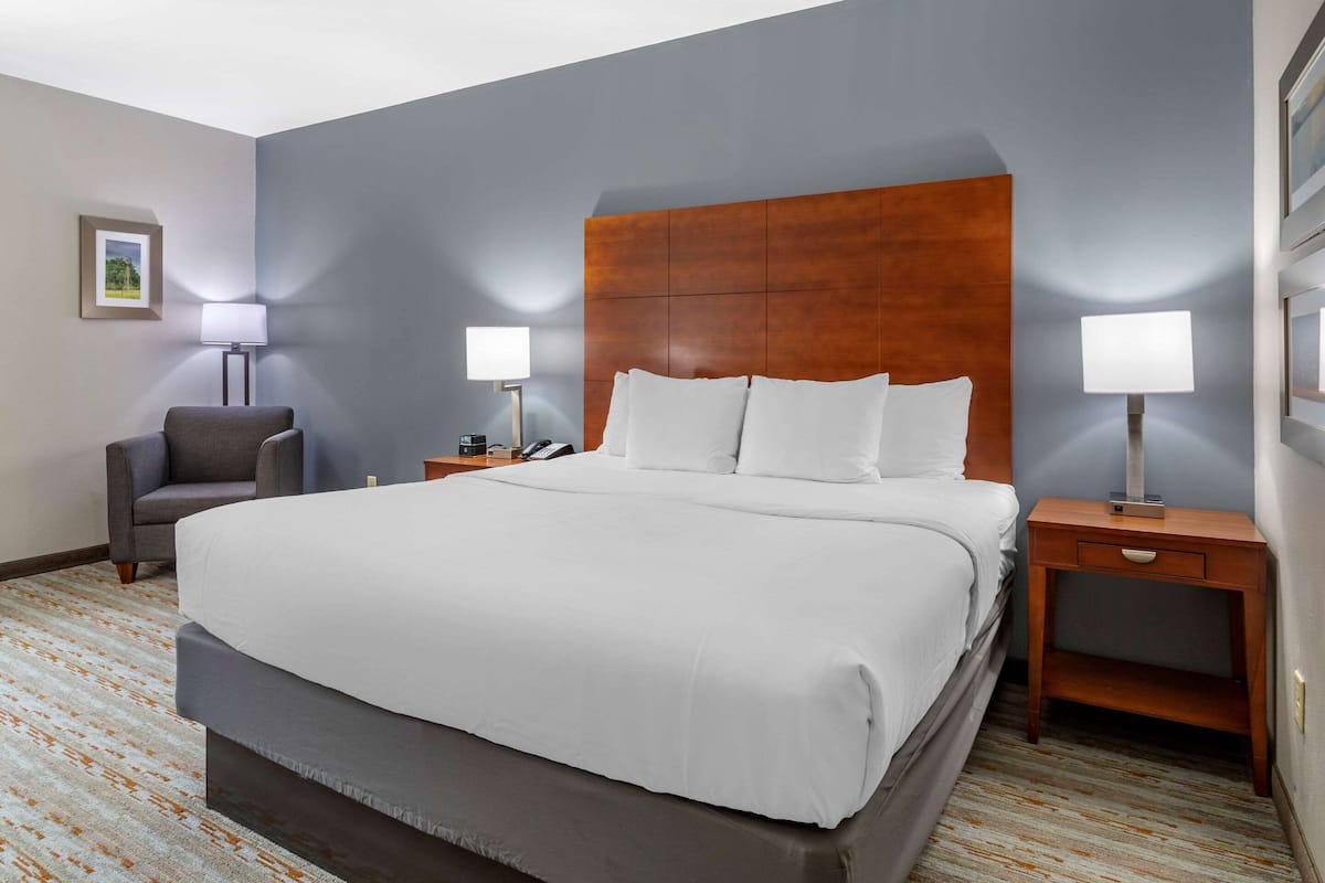 Room, 1 King Bed, Accessible, Non Smoking