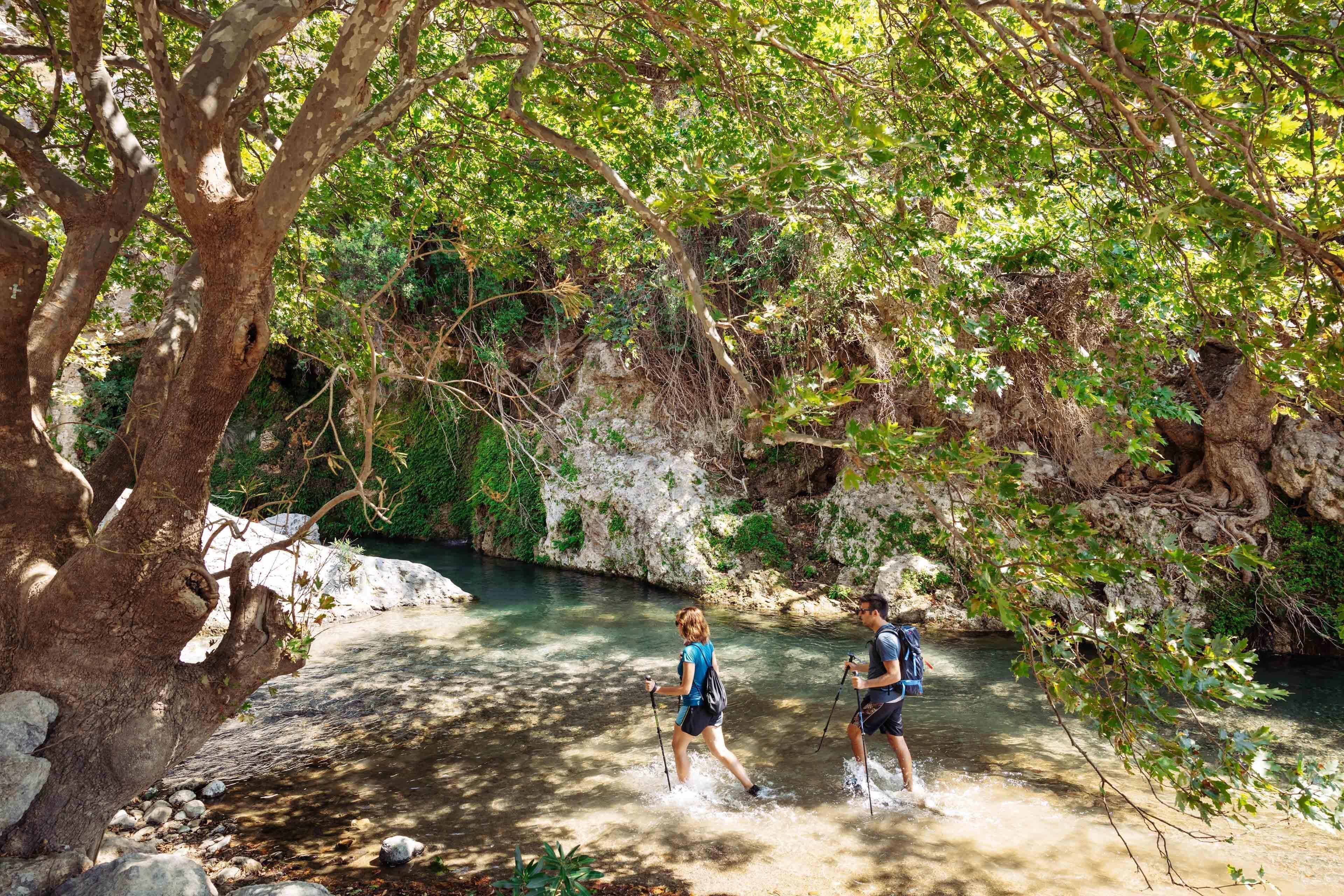 Two people hiking through a forested area with a stream.