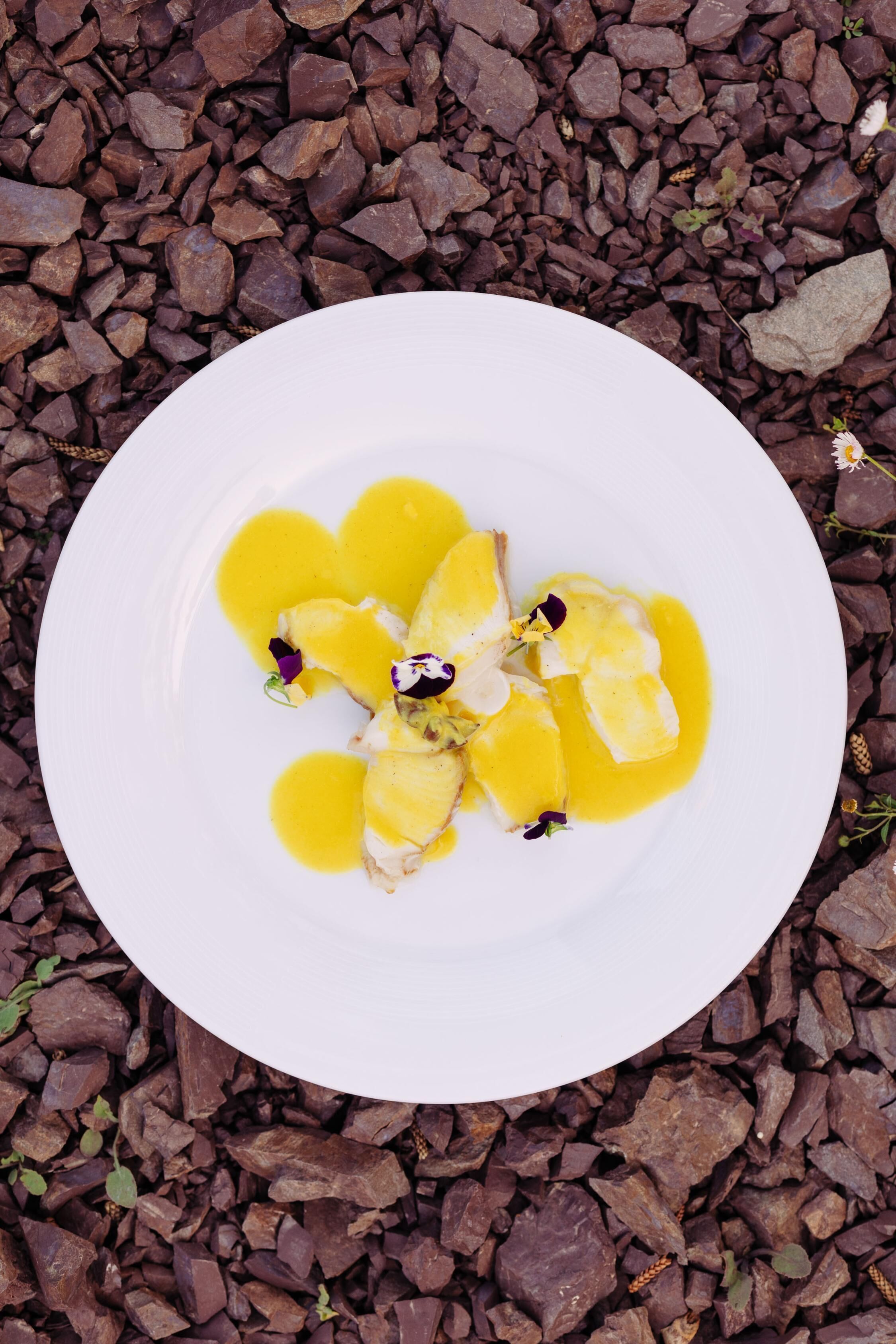 A white plate with yellow sauce and white food items, placed on a bed of brown rocks.