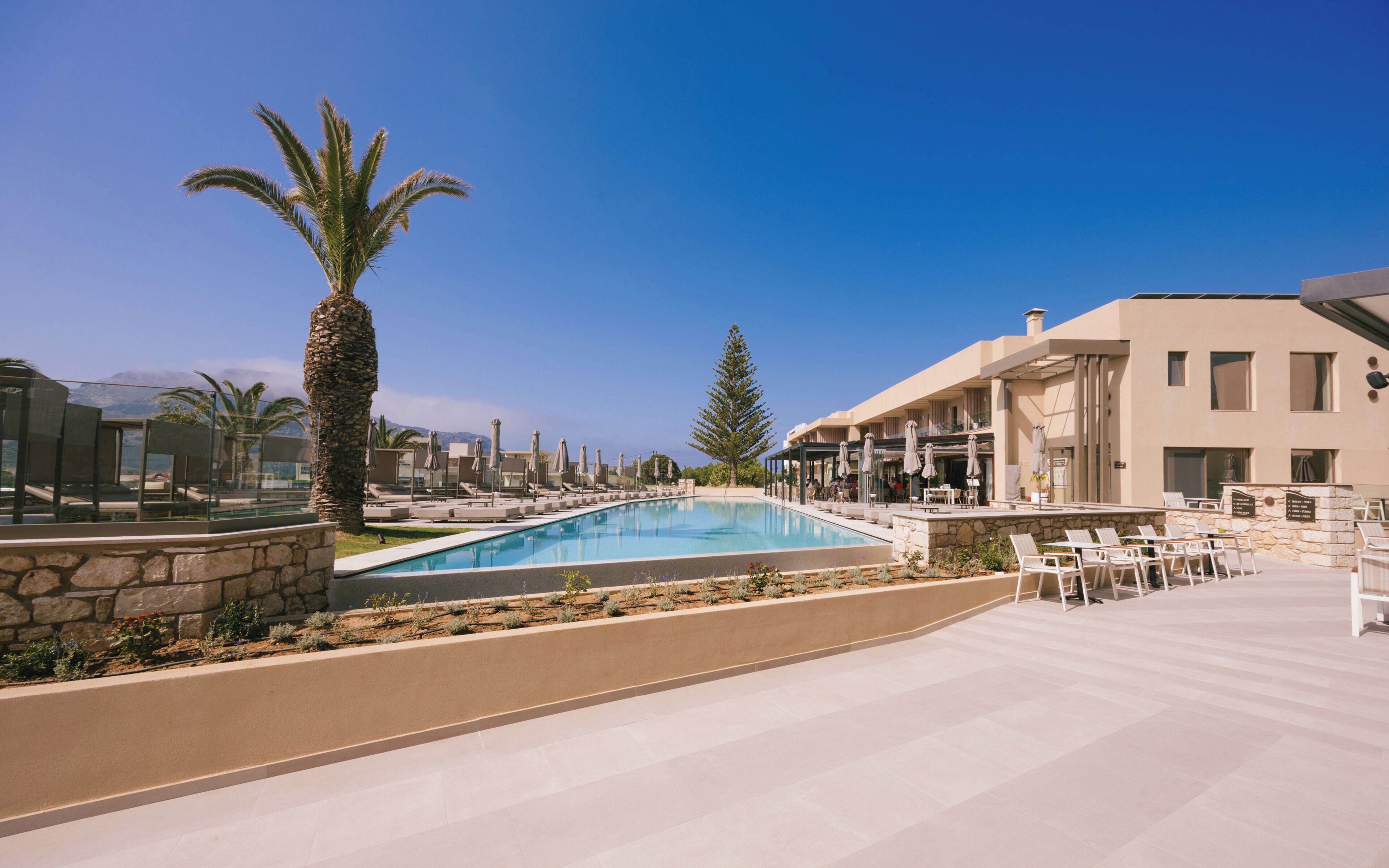 A pool area with lounge chairs and a palm tree.