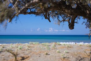 Una playa con vegetación escasa y una vista despejada del océano.