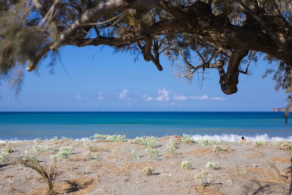 Ranta lähistöllä, rantabaari